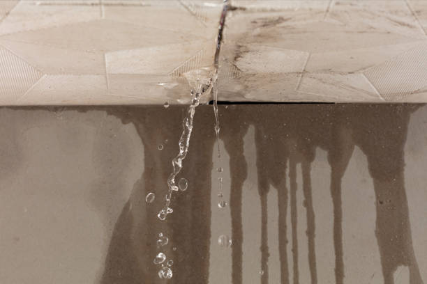 Professional Water Damage Repair technician working in Thorp, WA